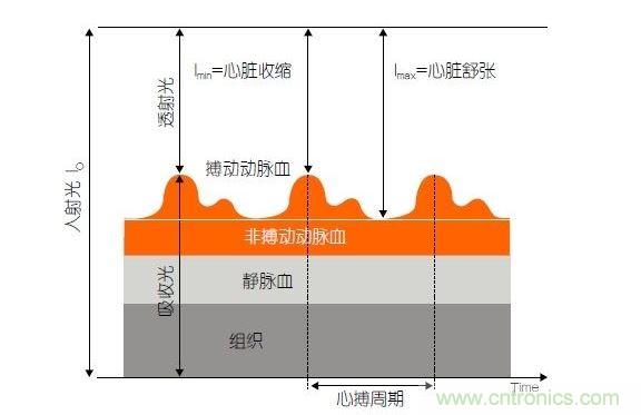 PPG測(cè)量中檢測(cè)器信號(hào)的產(chǎn)生。照射皮膚的光線(I0)被靜脈血或動(dòng)脈血吸收，或反射回檢測(cè)器。信號(hào)的變化分量對(duì)應(yīng)著與心跳同步變化的動(dòng)脈血流量。這個(gè)信號(hào)的變化周期指示了脈率。最小和最大檢測(cè)器信號(hào)的比值(光電流Imin/Imax)為判斷血氧飽和度提供了依據(jù)。