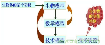 仿生傳感器的定義、原理、分類及應用