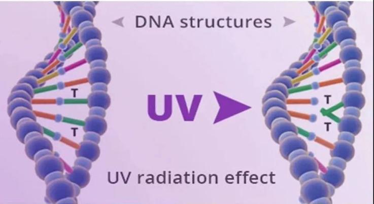 一文掌握UV LED在空凈消殺領域的主要應用